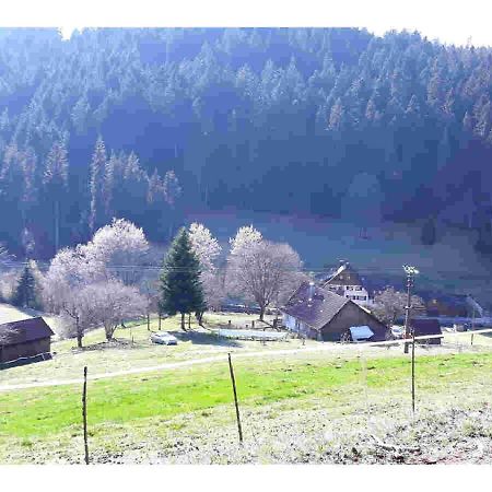 Ferienhaus Schwarzwald Seewald Erzgrube Badesee 100% Natur Extérieur photo