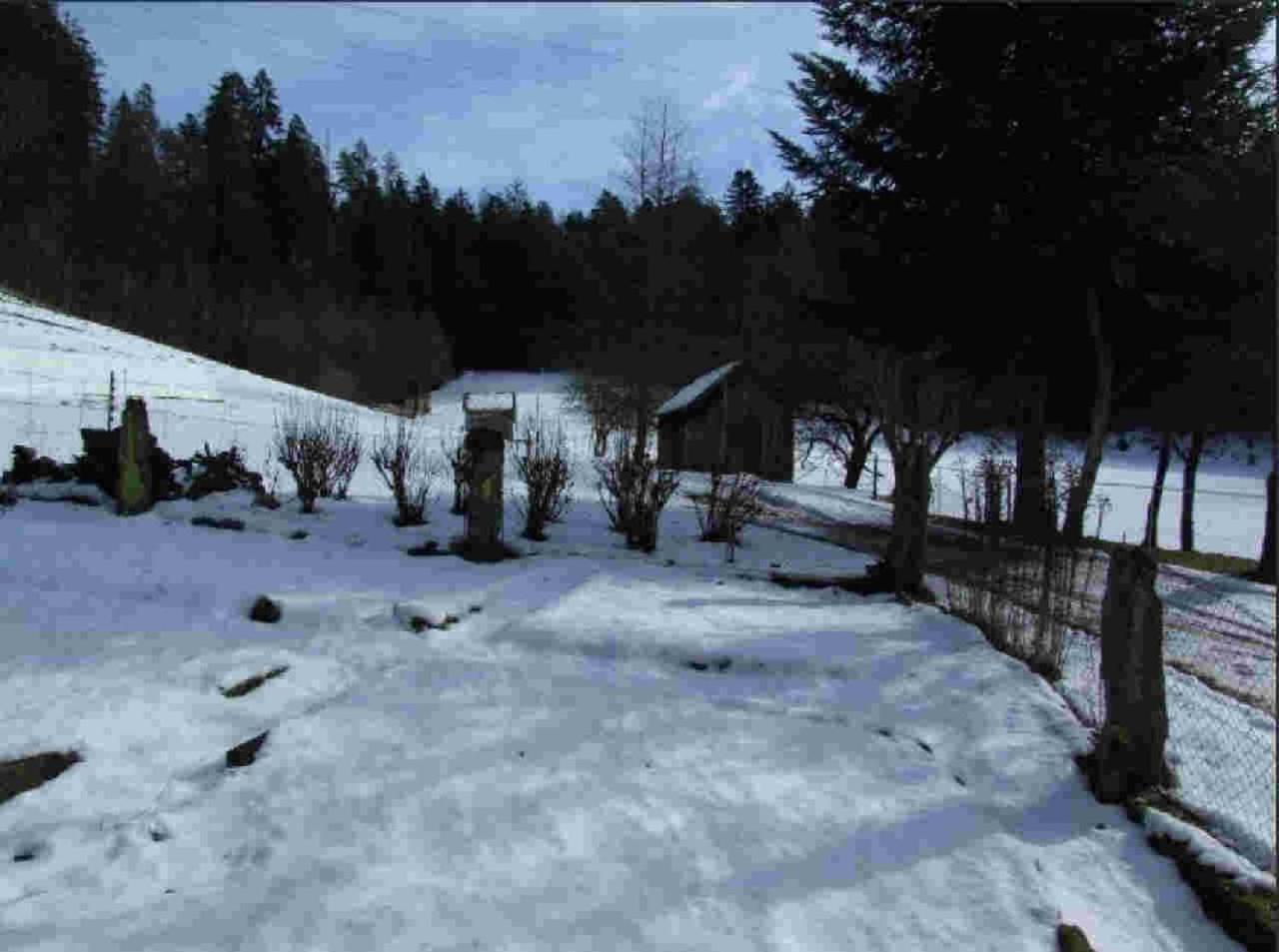 Ferienhaus Schwarzwald Seewald Erzgrube Badesee 100% Natur Extérieur photo