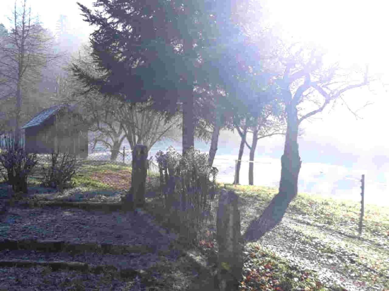 Ferienhaus Schwarzwald Seewald Erzgrube Badesee 100% Natur Extérieur photo