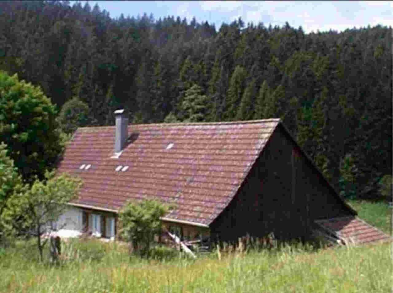 Ferienhaus Schwarzwald Seewald Erzgrube Badesee 100% Natur Extérieur photo